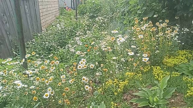хочу в садок 🐛🐛🐛🦗🦗🦗🥀🌷☘️🍀🌱🌿🍃 смотреть онлайн