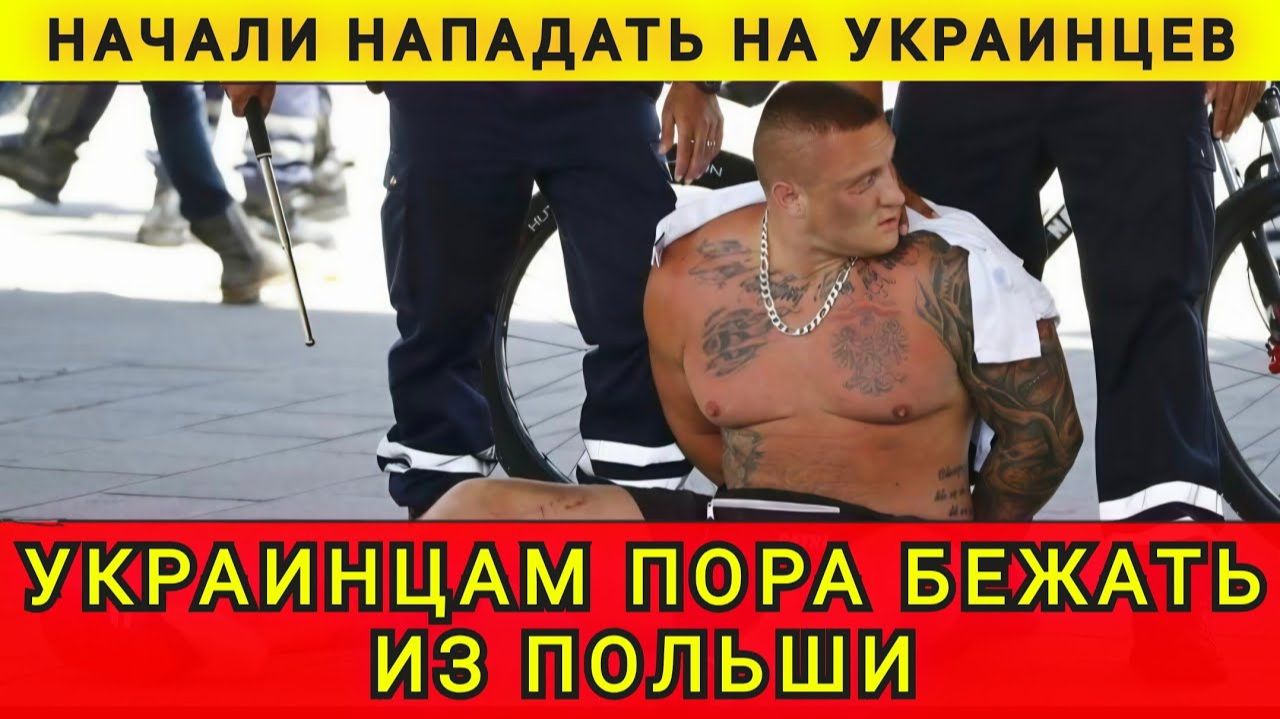 Украинцам пора бежать из Польши. Поляки сняли маски. Начали нападать на украинцев. Колобок из Одессы смотреть онлайн