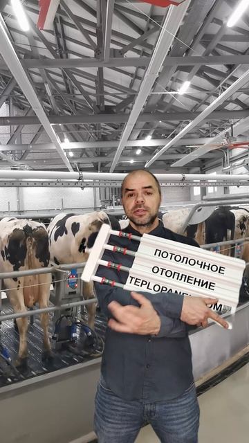 168 смотреть онлайн
