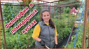 25.06.2026 Философия в помидорных кустах. Болтаем и работаем.