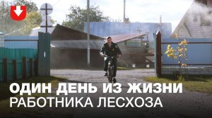 «На работу езжу на велосипеде». Один день из жизни работника лесхоза