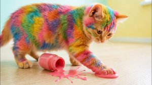 Кошка пролила на себя краску!🎨🐱😂