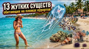СМЕРТЕЛЬНЫЙ ОТПУСК! 13 Жутких существ - обитающих на пляжах курортов!