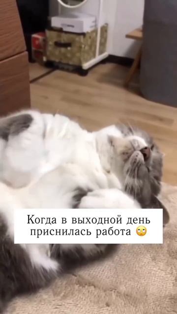 Жуть смотреть онлайн