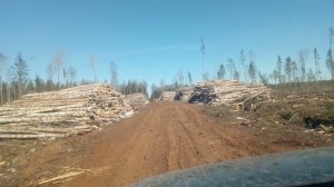 29 марта лесовозная дорога ч.1