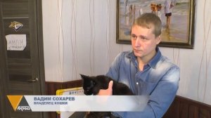 ИЗ ОКНА МНОГОЭТАЖКИ ВЫБРОСИЛИ КОТА