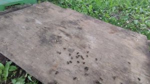 25. Июня. На весах +2.1кг