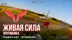 Живая сила противника. «Рубикон» продолжает вести охоту на пехоту ВСУ в зоне СВО