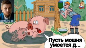 Анатолий ДВ. ПУСТЬ МОШНЯ УМОЕТСЯ Д...