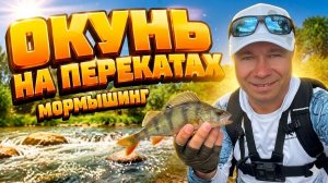 ЛОВЛЮ БОДРОГО ОКУНЯ НА ПЕРЕКАТАХ! Летняя рыбалка - мормышинг