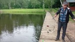 Обзор с Нижнего пруда. Клёвое место Лосиный остров.