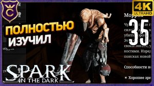 ПОЛНОСТЬЮ ИЗУЧИЛ МОРРОХА! 35 Spark in the Dark