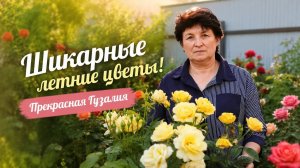Лето в разгаре - уход за цветами