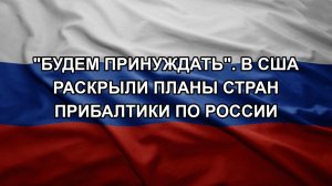 «Будем принуждать». В США раскрыли планы стран Прибалтики по России