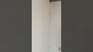 Шпатлевка стен / Ремонт квартир / Дизайн интерьера