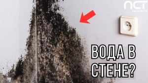Осушение подвала – гидроизоляция стен и пола старого подвала от влаги
