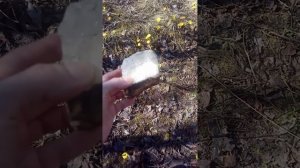 Исследование места колки белого кварца Study of the white quartz knapping site