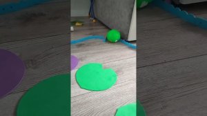 играем в crazy крока под музыку