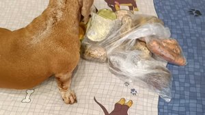 Домашний Роспотребнадзор проверяет качество продуктов