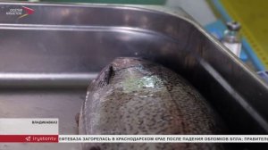 В ГГАУ проходит демонстрационный экзамен