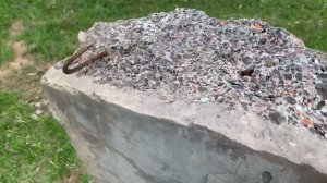 Стеновая керамзитобетонная панель в разрезе