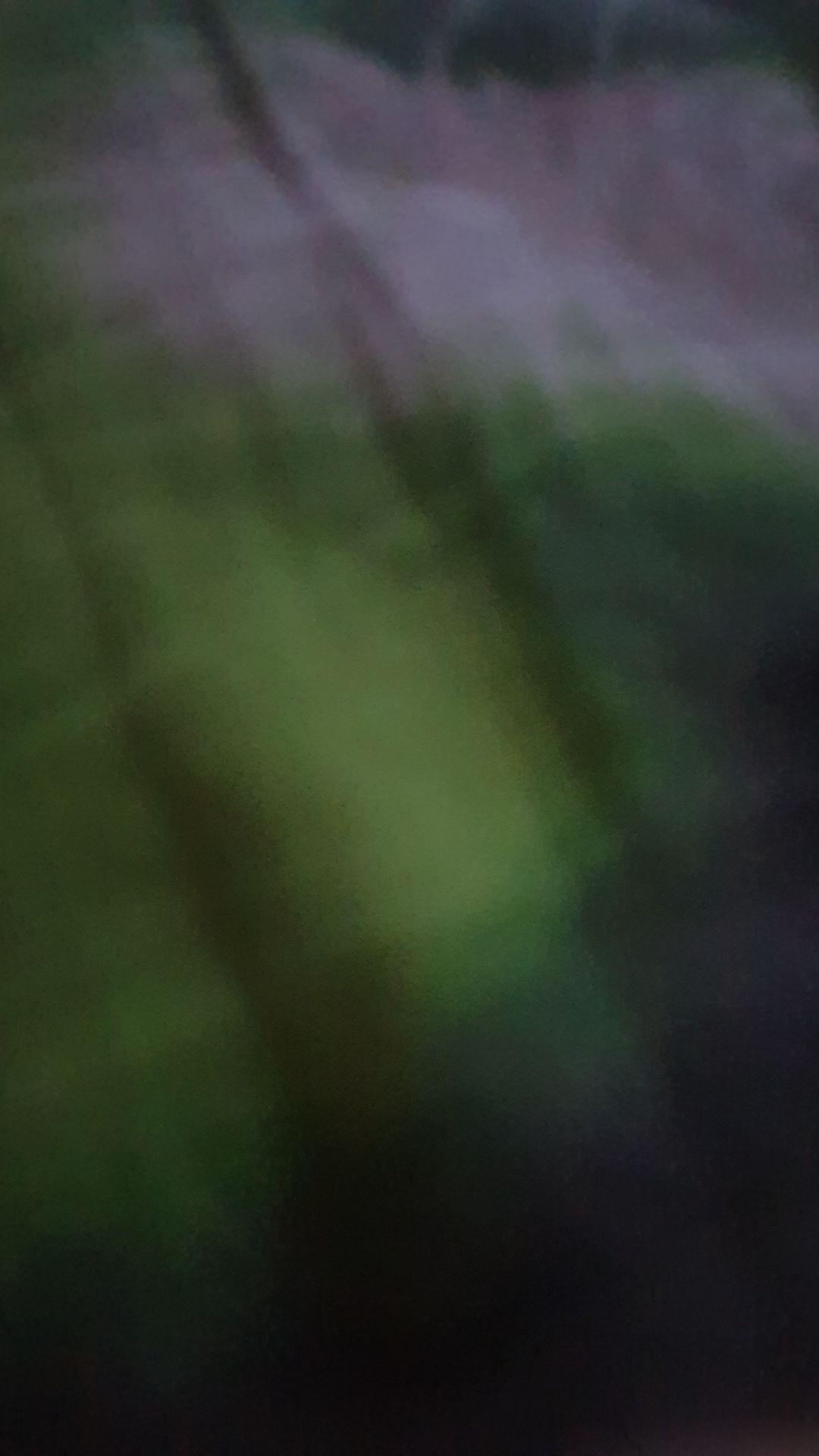 ВИДЕО ДЛЯ {FLAZIN И ЛЁХА ДЖЕЛ.И МИХИ}