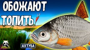 Поплавки просто играли от души от рыбок #рр4