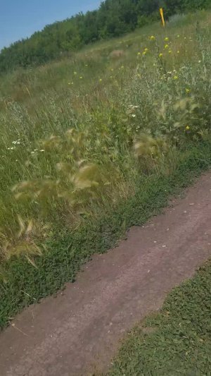 пр