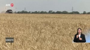 Началась уборочная кампания