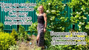 Уход за садом. Пропалываю, стригу, нормирую гортензии. Баковая смесь для пышного цветения роз