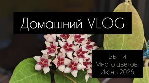Домашний влог и много цветов. июнь 2026
