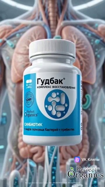 🦠 Каждый день кишечник делает для вашего здоровья гораздо больше, чем кажется.