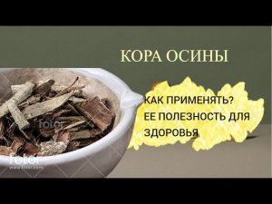 КОРА ОСИНЫ - ЕЕ СВОЙСТВА И ПРИМЕНЕНИЕ