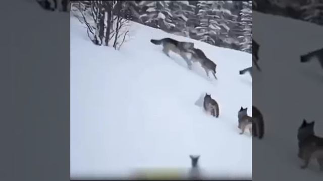 И так будет с каждым врагом... смотреть онлайн