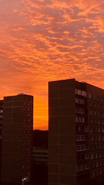 🌇🌇🌤️