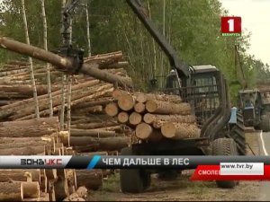 Подробности скандала в Волмянском лесничестве. Зона Х