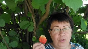 Боремся с кротами. Текущие огородные дела. Что растёт в моём саду