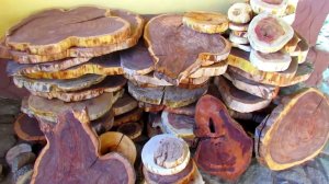 Соседи были поражены нашим ДЕКОРОМ СТЕН из СПИЛОВ ДЕРЕВА. DIY