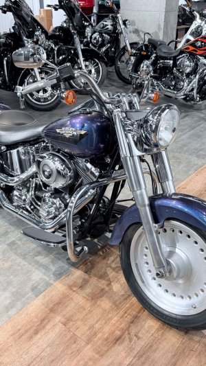 + 2010 HD Fat Boy 96 Flame Blue Pearl 29K (VIN 5HD***9100)