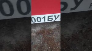 Гуляю по городу