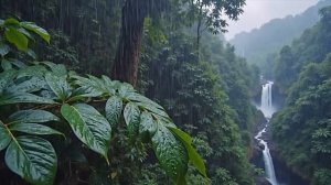 ТРОПИЧЕСКИЙ ДОЖДЬ И ШУМ ВОДОПАДА ДЛЯ СНА И ГЛУБОКОГО РАССЛАБЛЕНИЯ 🌧️🌿