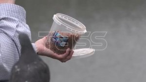 Озеро черепах во Владивостоке