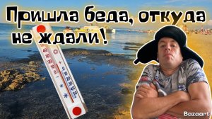 Витязево. Новая НАПАСТЬ на курорт! Что происходит на пляже? Новый ГЛИНЯНО-песчаный песчаный пляж!