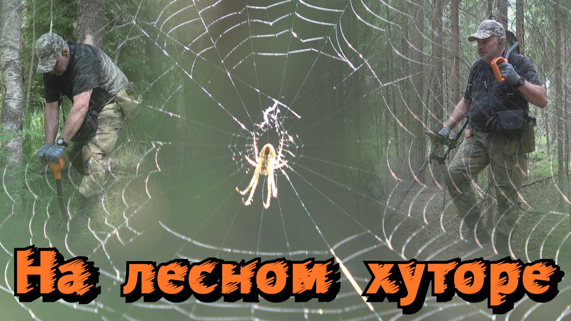 Это место нужно обследовать. Поиск раритетных шмурдяков
