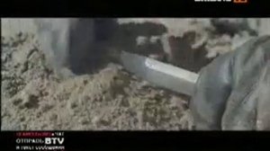 bridge tv