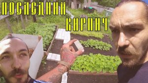 VLOG: ПОСЛЕДНИЙ КИРПИЧ / МАЛЫШОВ ДМИТРИЙ