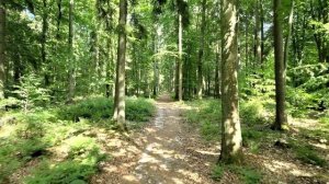 В Германии убита украинская беженка, город Мангейм. Серия убийств. Совпадение или нет?