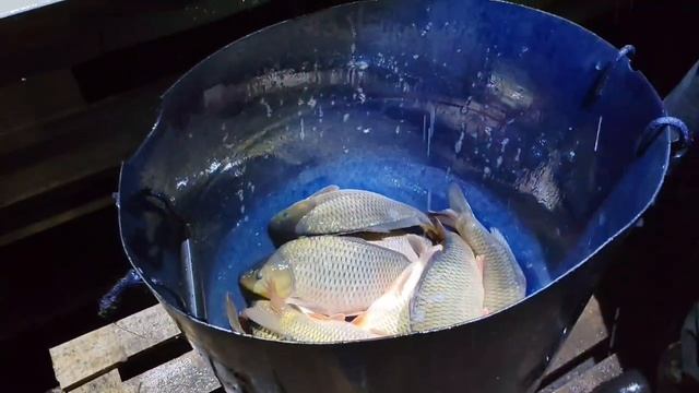 VID_20260625_125919
