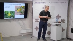 Альтернативная сборка - какой могла быть жизнь на Земле. Михаил Никитин