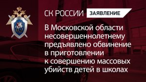 Несовершеннолетнему предъявлено обвинение в приготовлении к совершению массовых убийств в школах